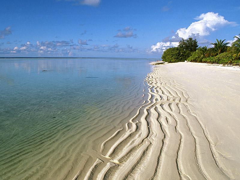http://redcarpetweddings.files.wordpress.com/2009/12/shoreline-along-ari-atoll-maldives-islands.jpg